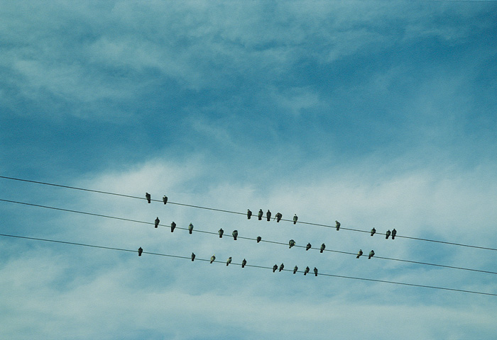 (c) Copyright by naGRUNCIE.pl