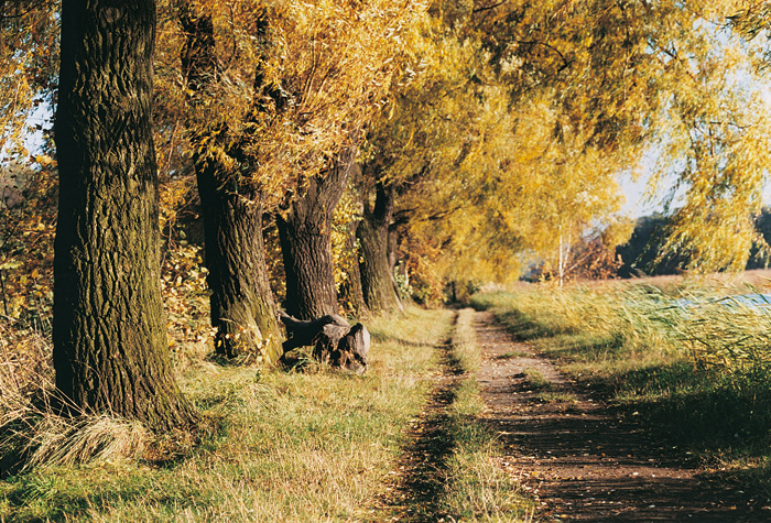 (c) Copyright by naGRUNCIE.pl