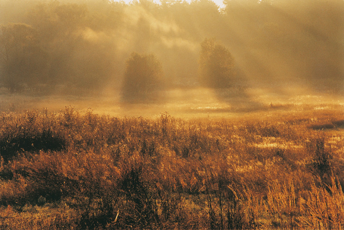 (c) Copyright by naGRUNCIE.pl