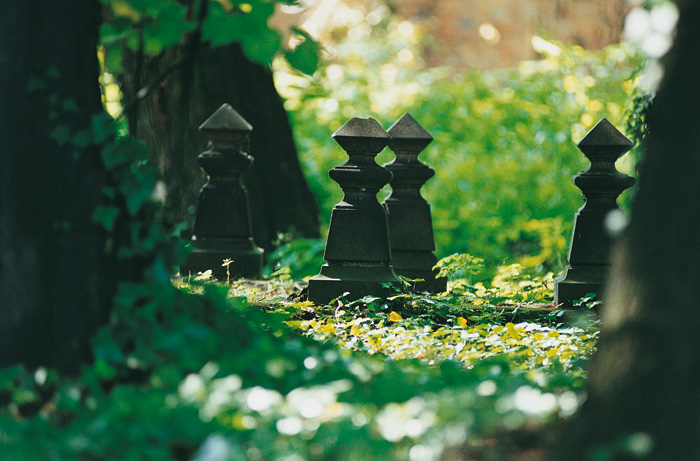 (c) Copyright by naGRUNCIE.pl