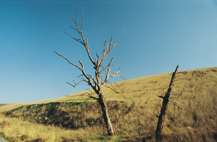 (c) Copyright by naGRUNCIE.pl