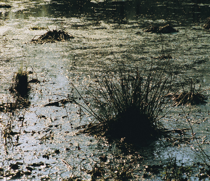 (c) Copyright by naGRUNCIE.pl