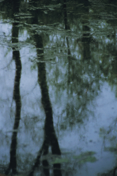 (c) Copyright by naGRUNCIE.pl