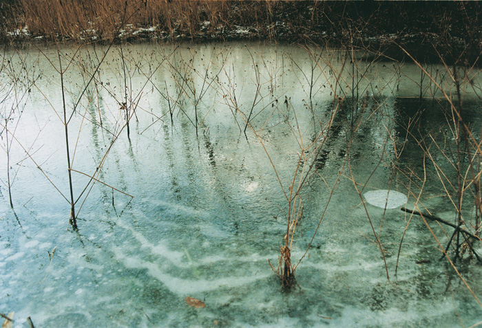 (c) Copyright by naGRUNCIE.pl