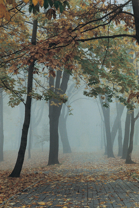 (c) Copyright by naGRUNCIE.pl