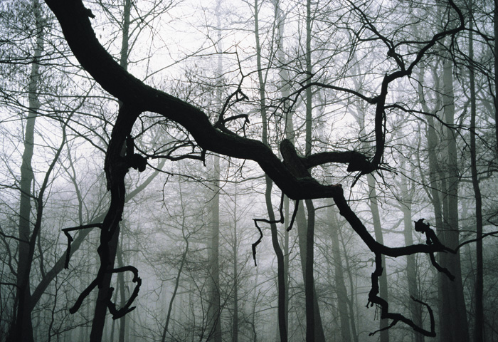 (c) Copyright by naGRUNCIE.pl