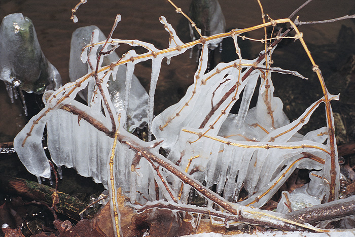 (c) Copyright by naGRUNCIE.pl