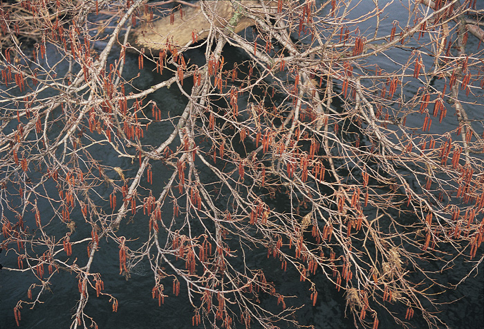 (c) Copyright by naGRUNCIE.pl