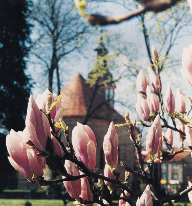 (c) Copyright by naGRUNCIE.pl