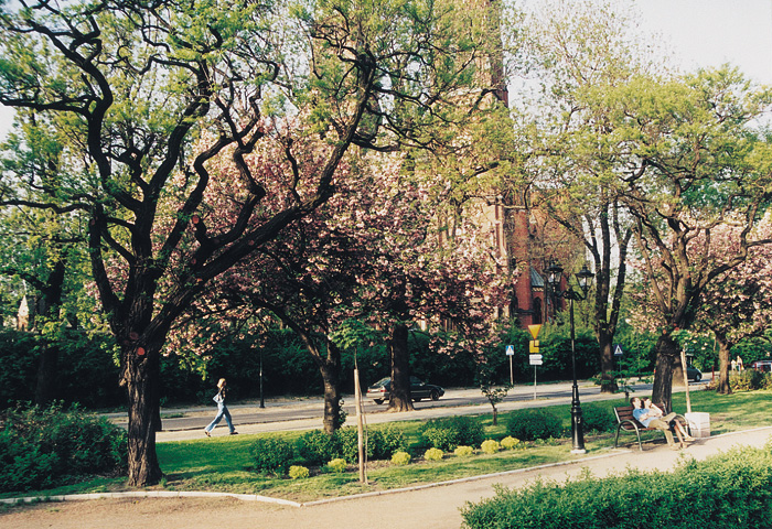 (c) Copyright by naGRUNCIE.pl