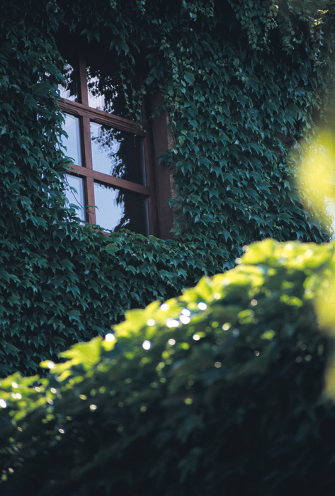 (c) Copyright by naGRUNCIE.pl