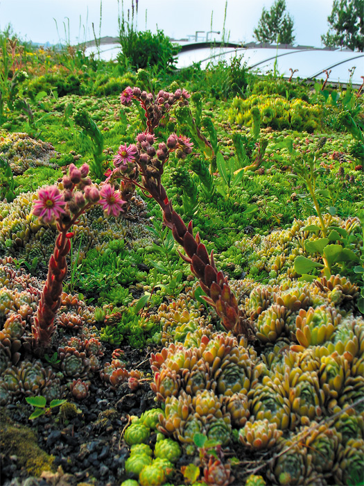 (c) Copyright by naGRUNCIE.pl