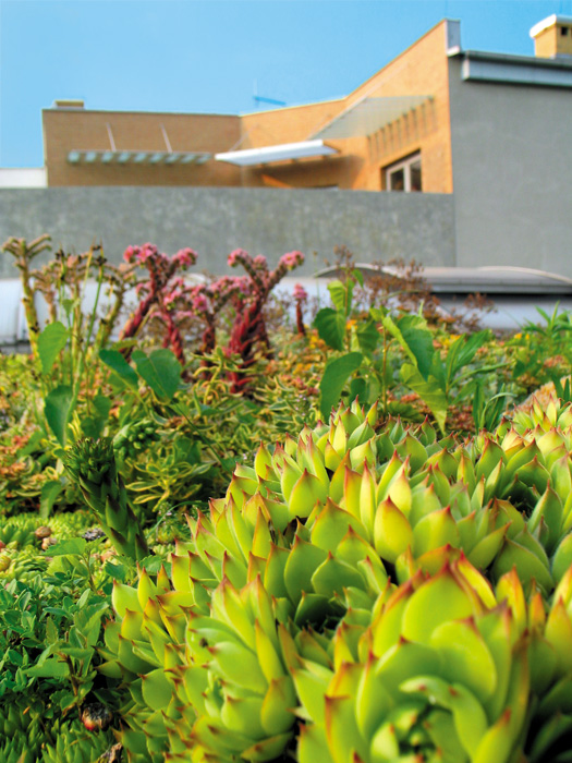 (c) Copyright by naGRUNCIE.pl