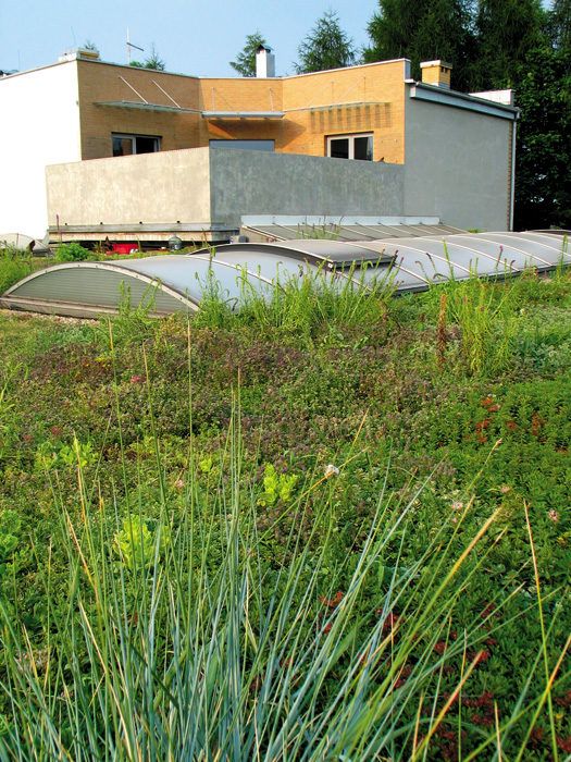 (c) Copyright by naGRUNCIE.pl