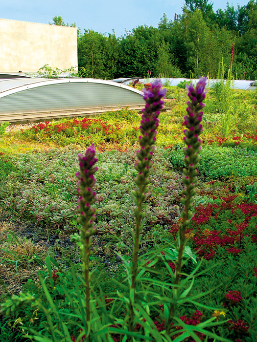 (c) Copyright by naGRUNCIE.pl