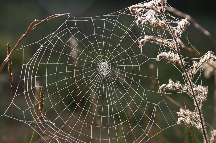 (c) Copyright by naGRUNCIE.pl