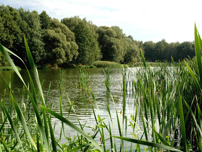 (c) Copyright by naGRUNCIE.pl